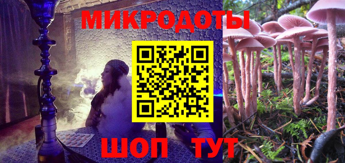 Псилоцибиновые грибы MAGIC MUSHROOMS  закладки  Димитровград  Вход с VPN 